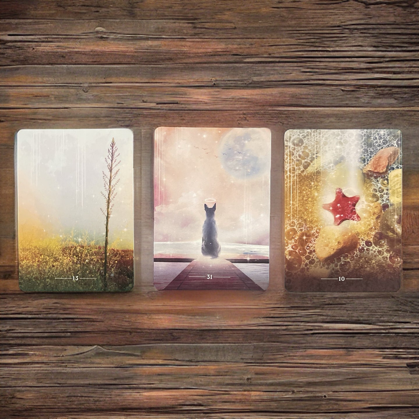 Pocket Version 'Conversations With Max - Whispers Over The Rainbow Bridge'